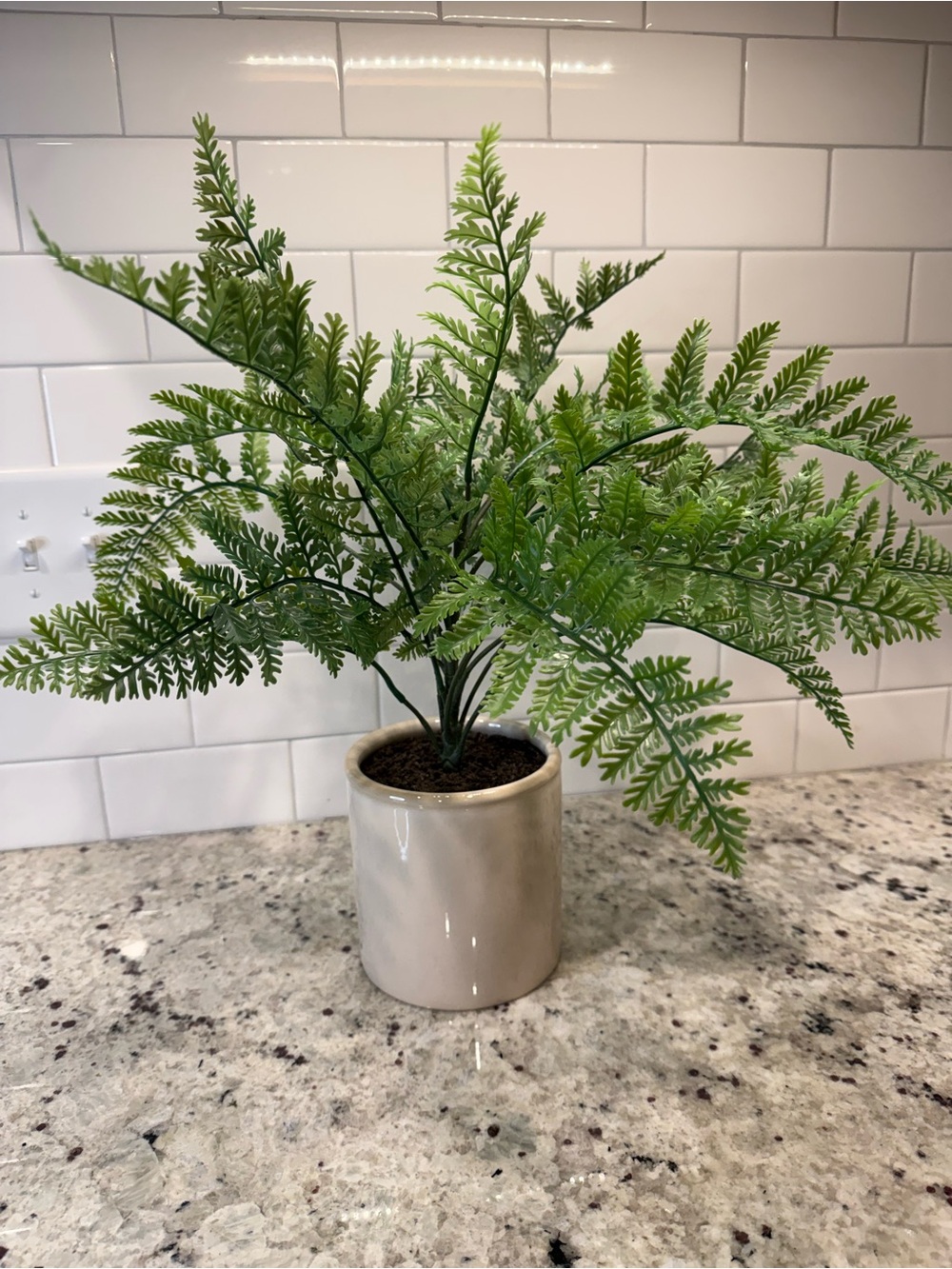 Threshold Artificial Fern Plant in Cream Ceramic Pot - NWT